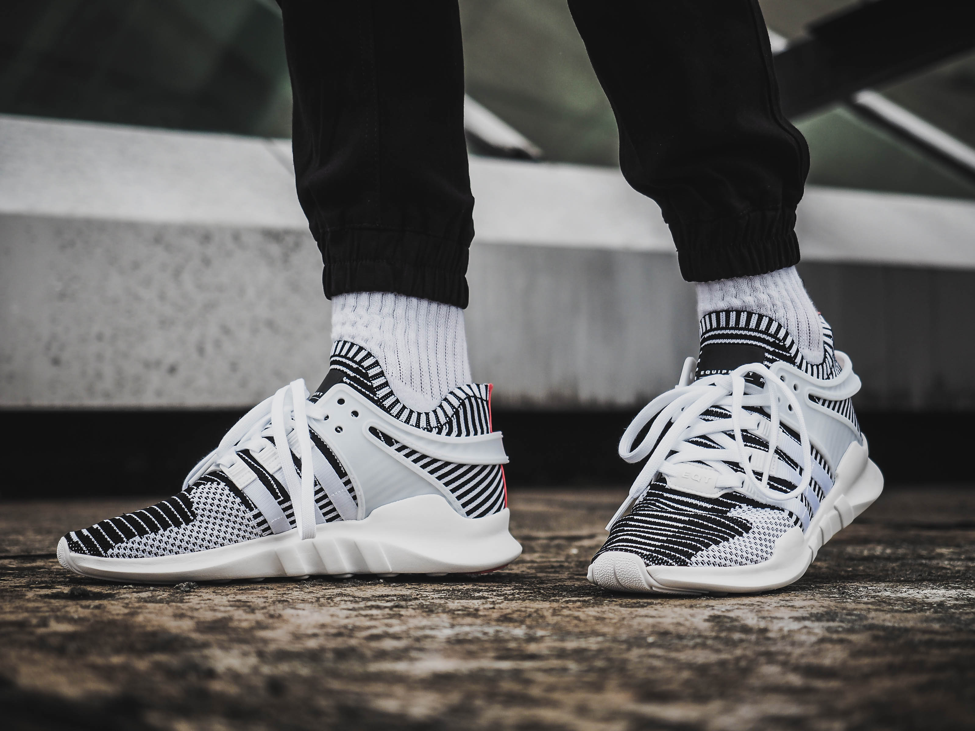 Eqt support sale adv zebra