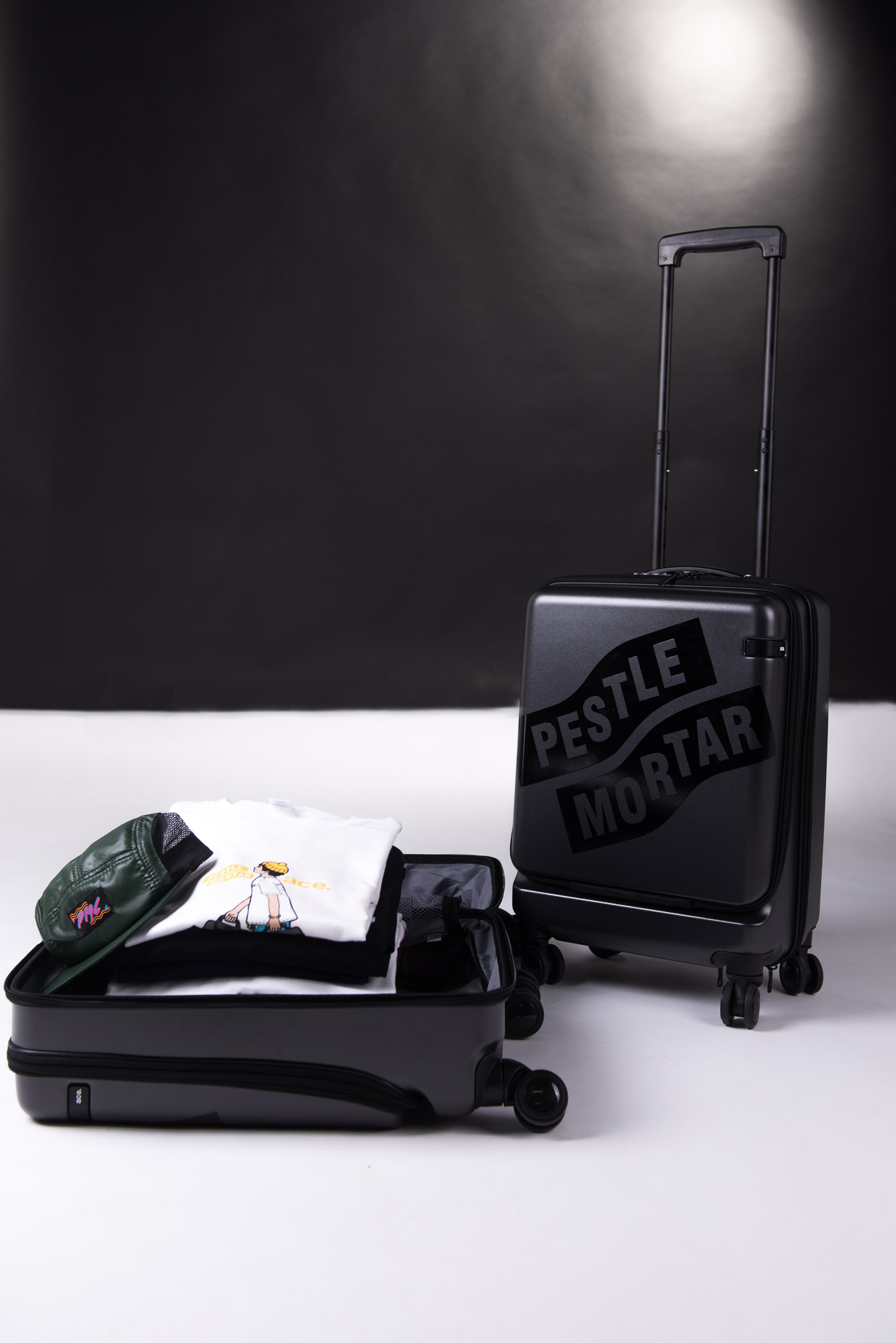 ace luggage malaysia